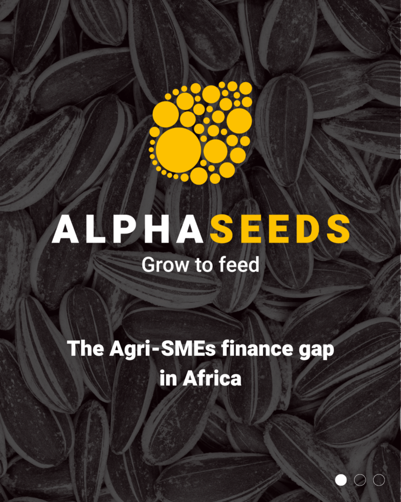 Africa agri-SMEs financing gap 1