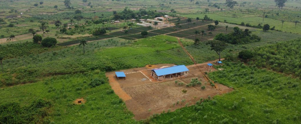 RougeCongo Hangar