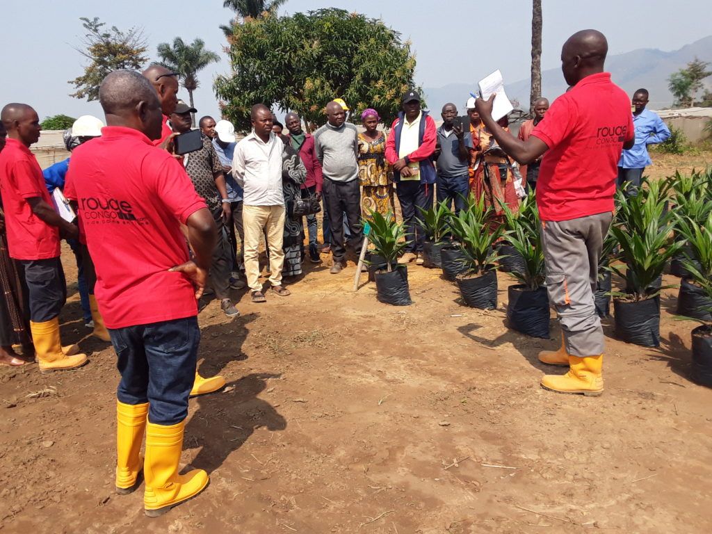 RougeCongo Atelier Planteurs 5