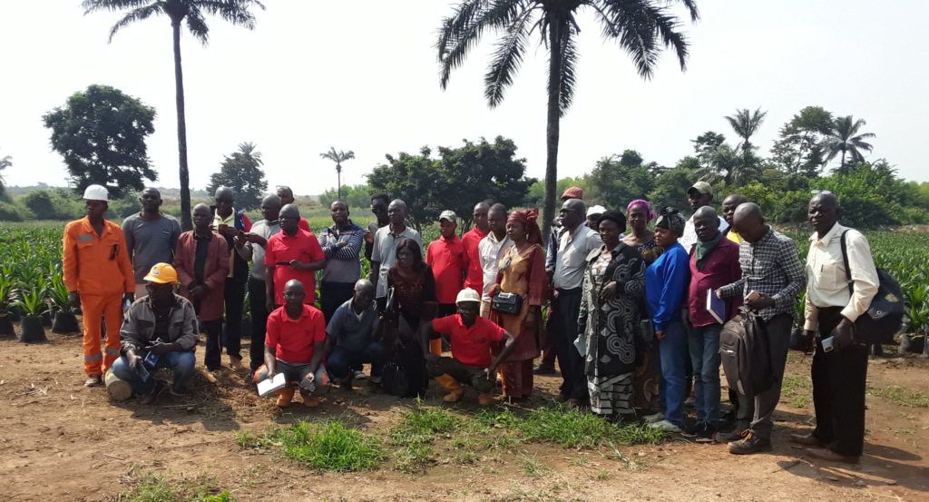 RougeCongo Atelier Planteurs 4