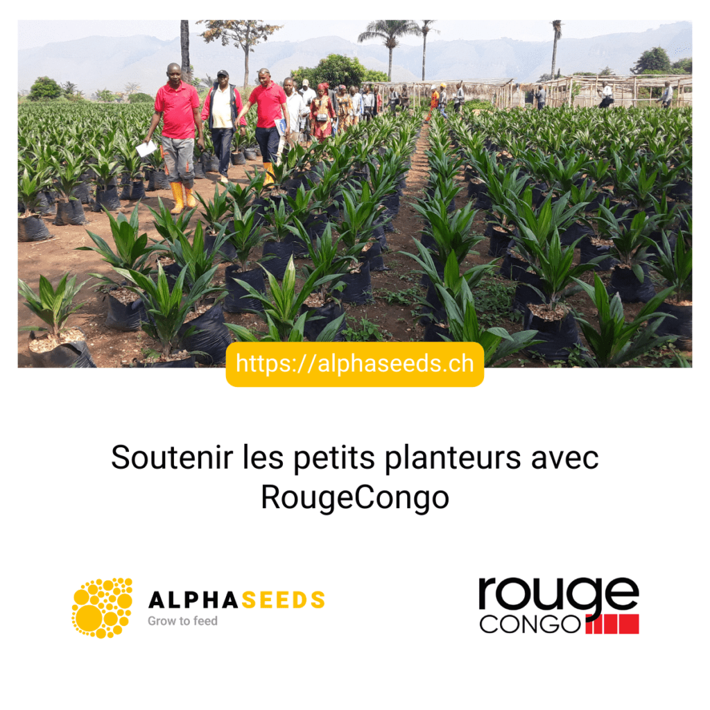 RougeCongo soutenir les petits planteurs