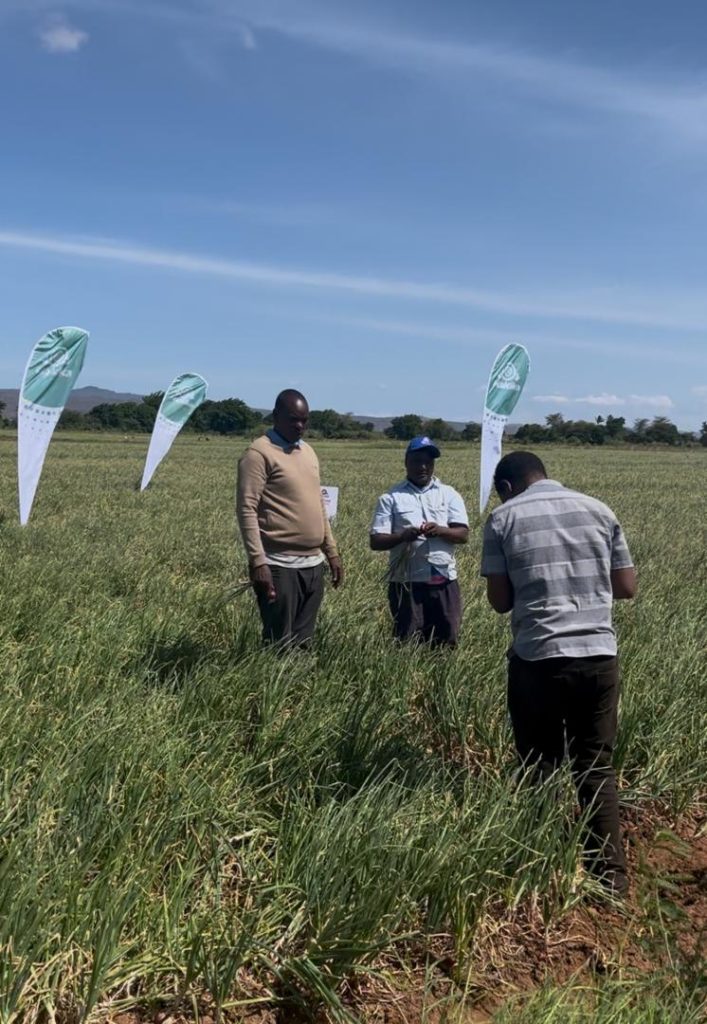 Guavay Farmer Field Day
