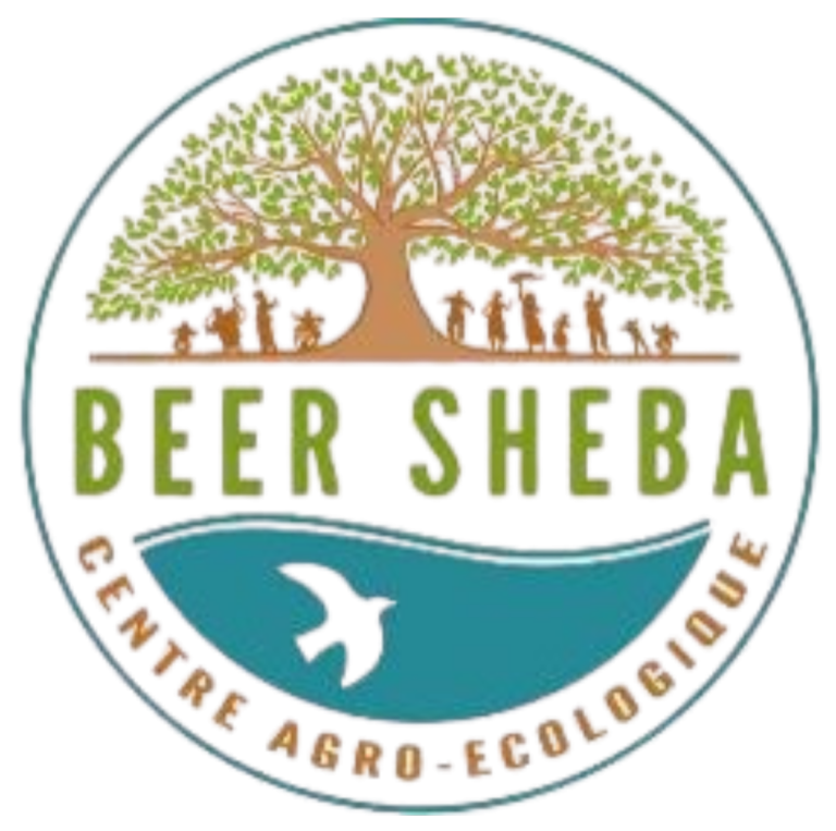 BEER SHEBA LOGO